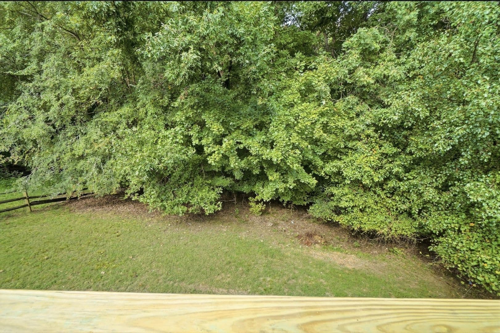 Charlotte House: 2939 Gray Feather Drive