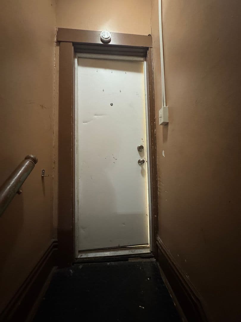 Homestead Apartment: 810 Amity Street