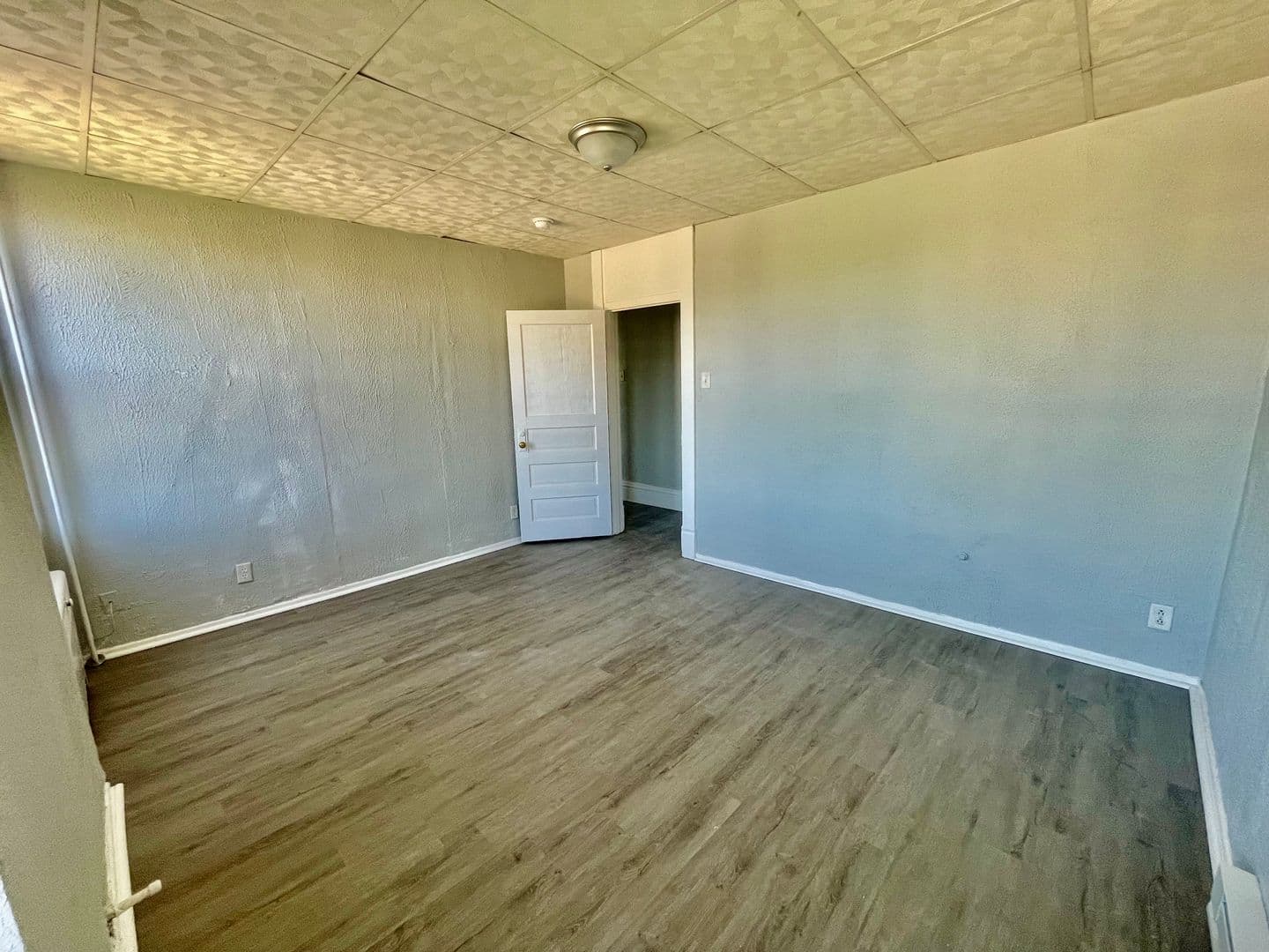 Homestead Apartment: 810 Amity Street