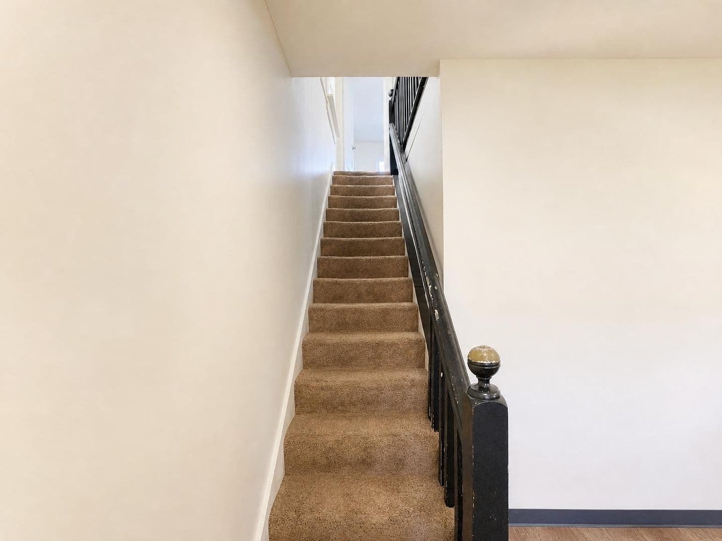 New Kensington Apartment: 1613 Fourth Avenue