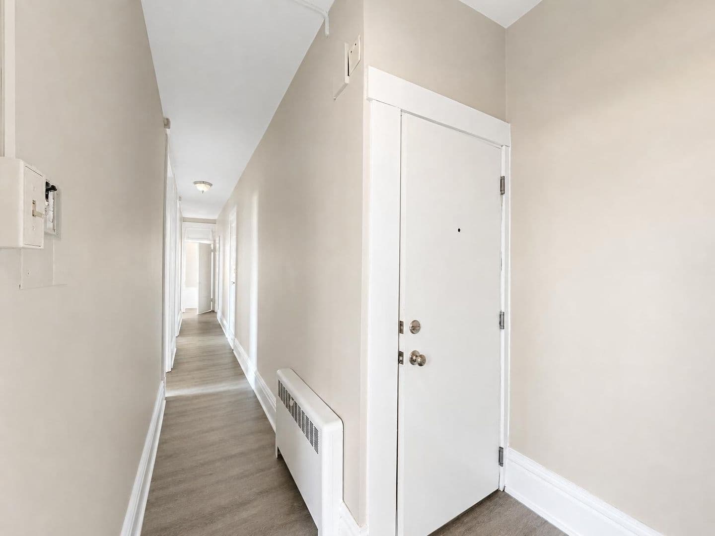 Homestead Apartment: 810 Amity Street