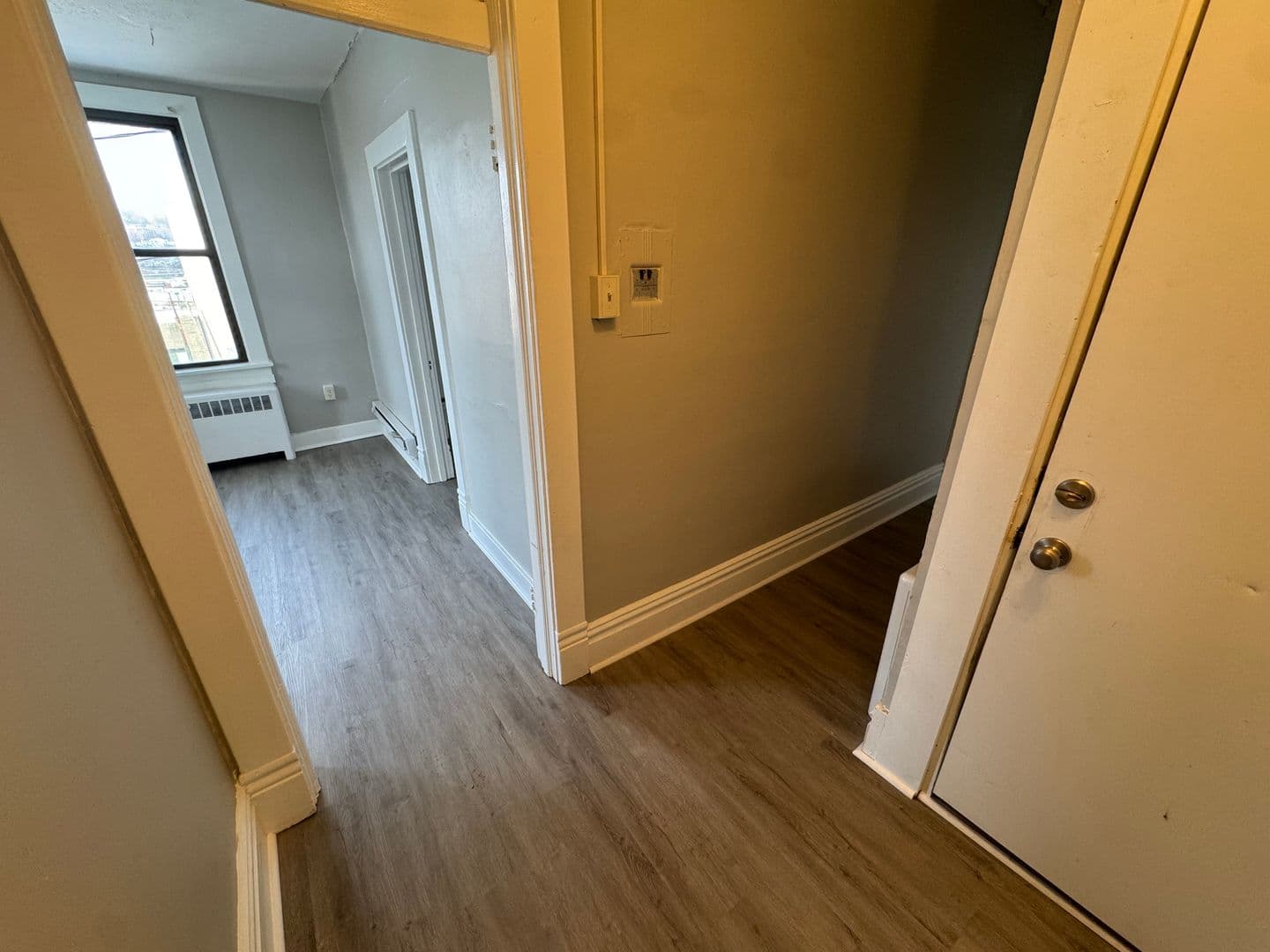 Homestead Apartment: 810 Amity Street
