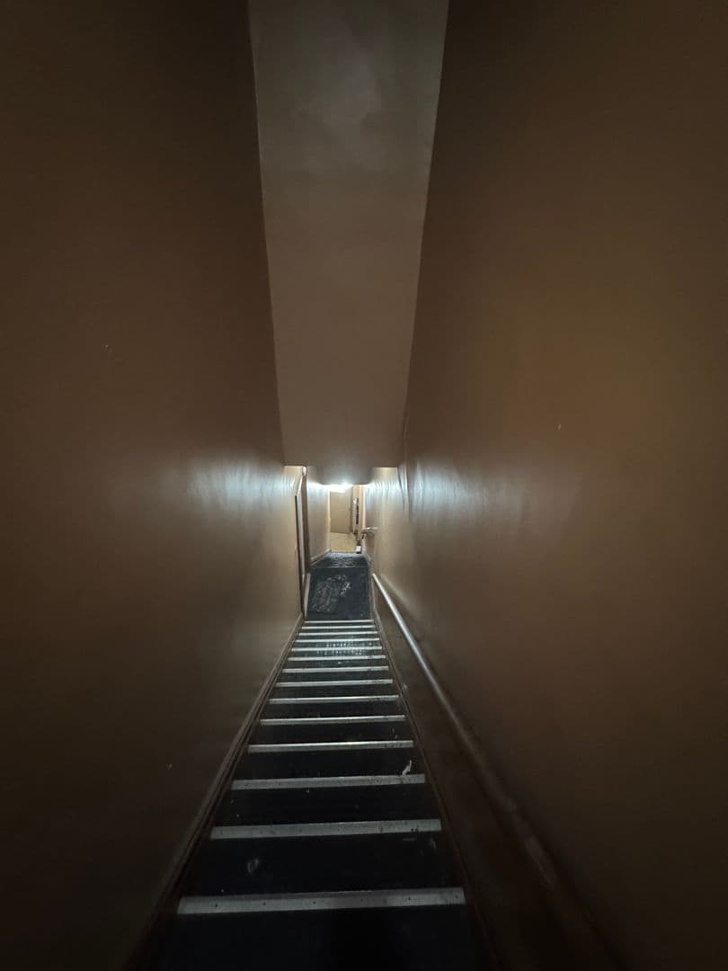 Homestead Apartment: 810 Amity Street