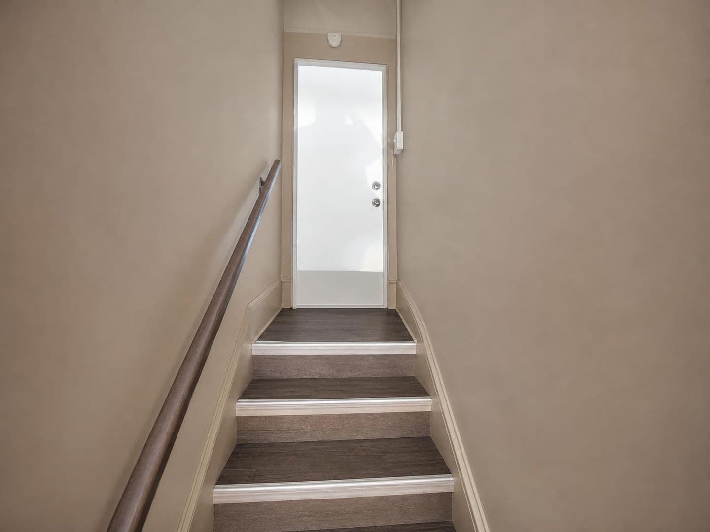 Homestead Apartment: 810 Amity Street