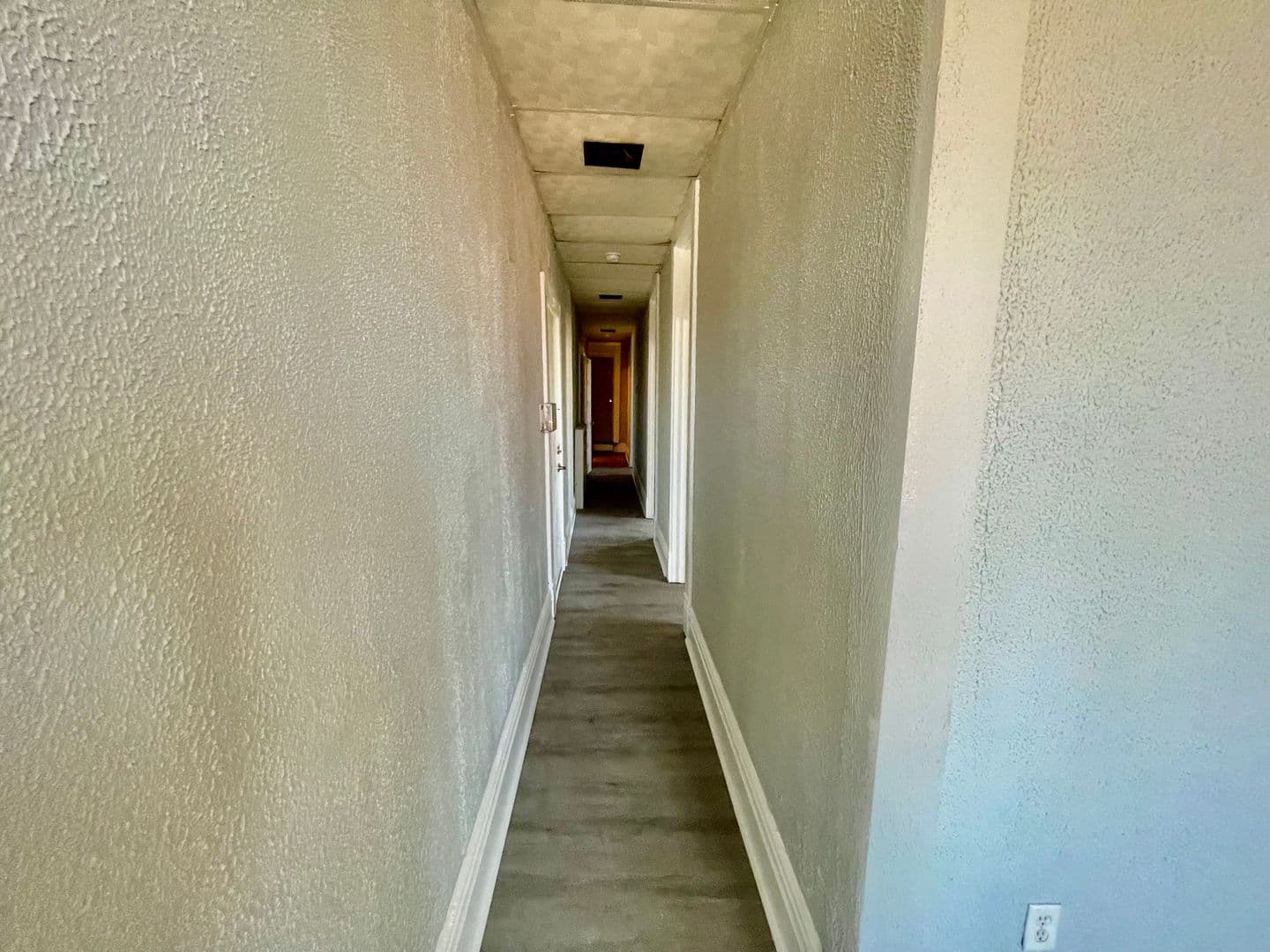 Homestead Apartment: 810 Amity Street