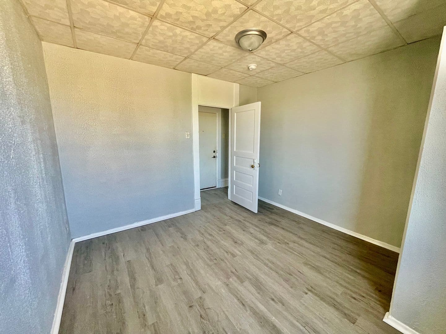 Homestead Apartment: 810 Amity Street