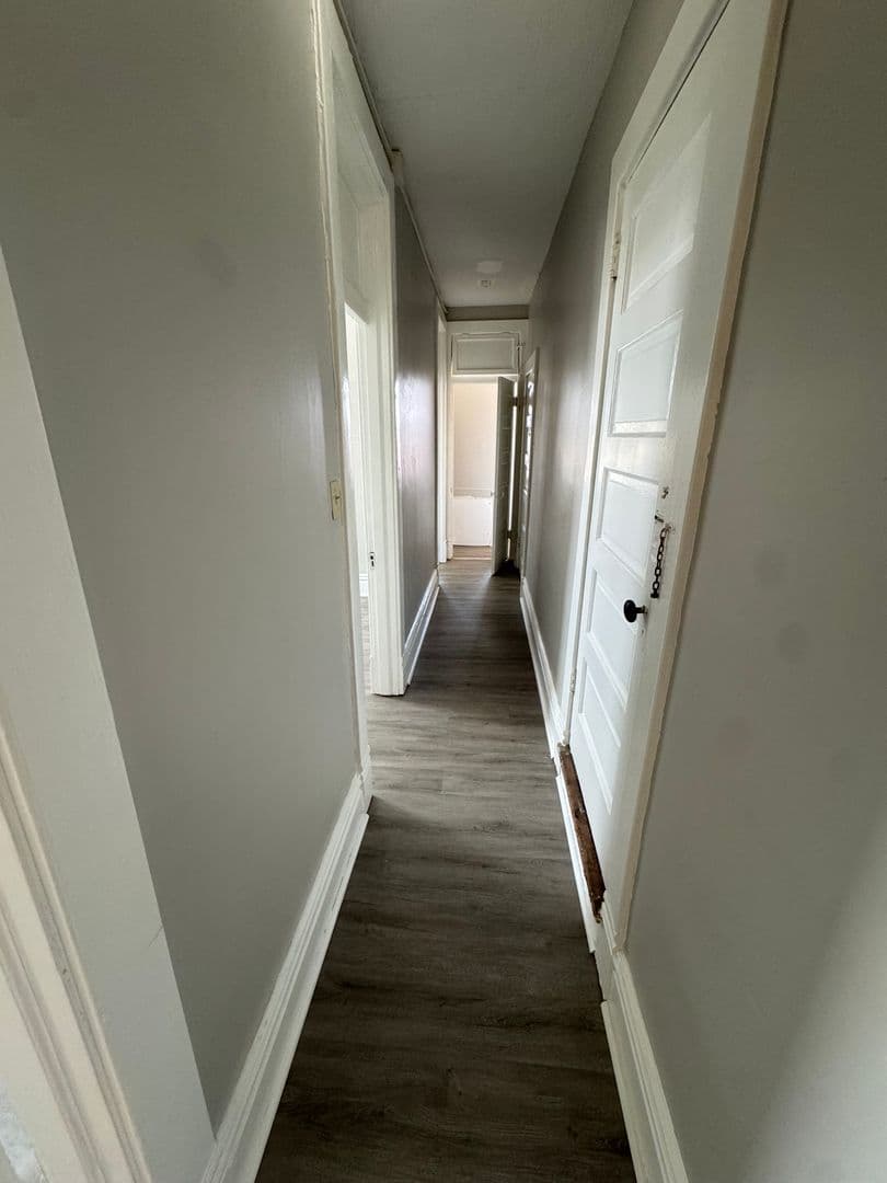 Homestead Apartment: 810 Amity Street