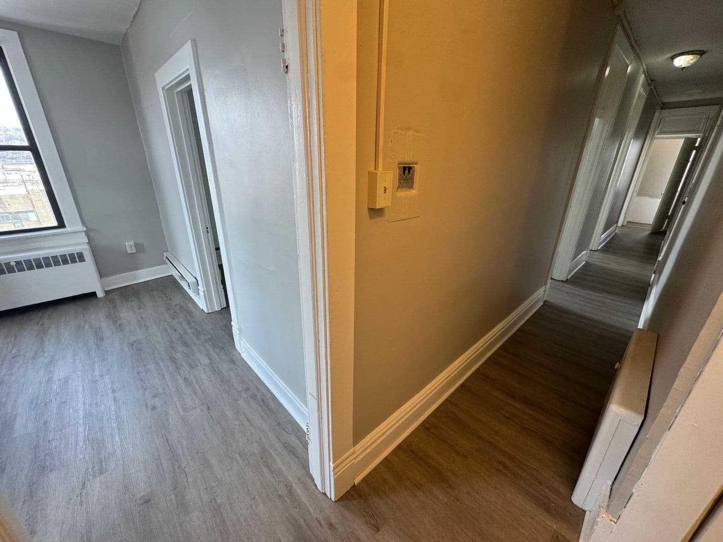 Homestead Apartment: 810 Amity Street