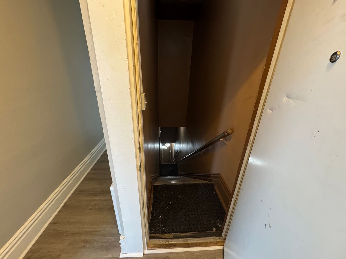 Homestead Apartment: 810 Amity Street