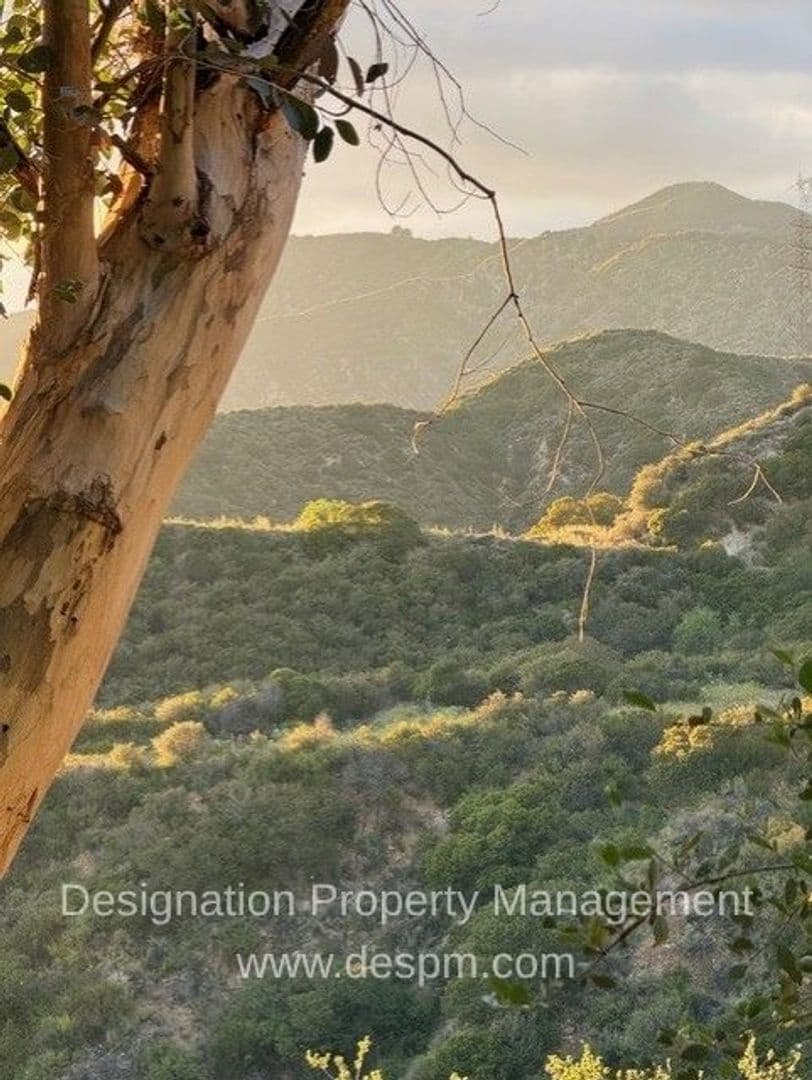 Altadena House: 4395 El Prieto