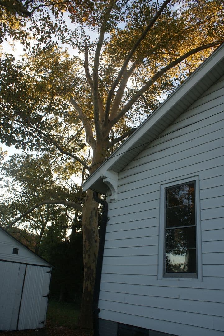 St Louis House: 2646 Terrace Ln.