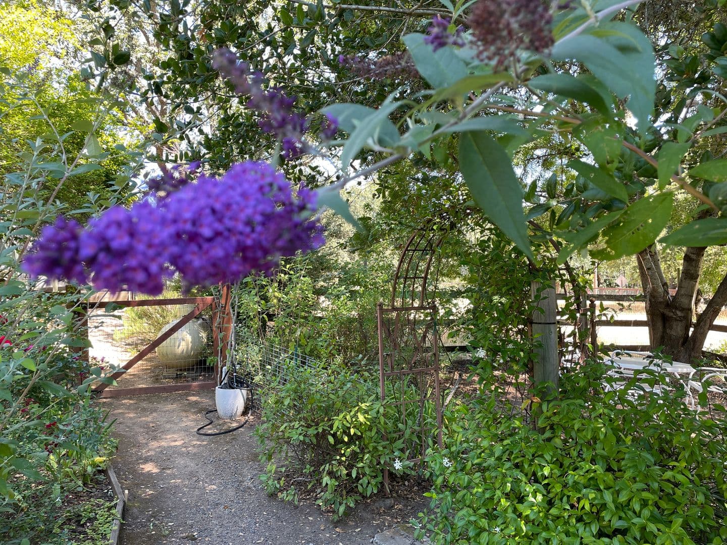 Sebastopol Apartment: 4200 Green Valley School Rd.