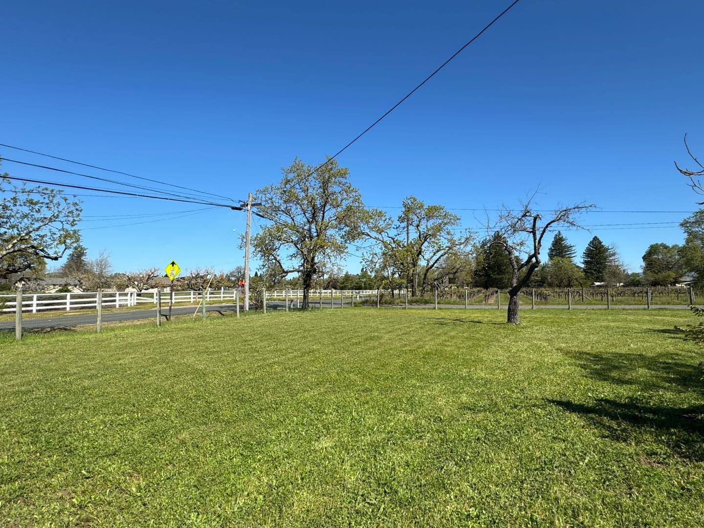 Santa Rosa House: 0000 Willowside