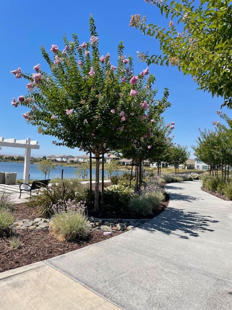 Lathrop Townhome: 1614 Offshore Way