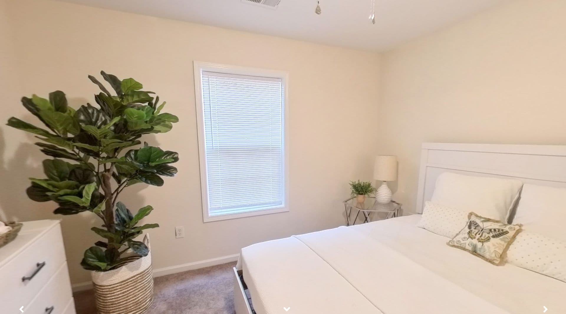 Conway Apartment: 321 Patriots Hollow Way