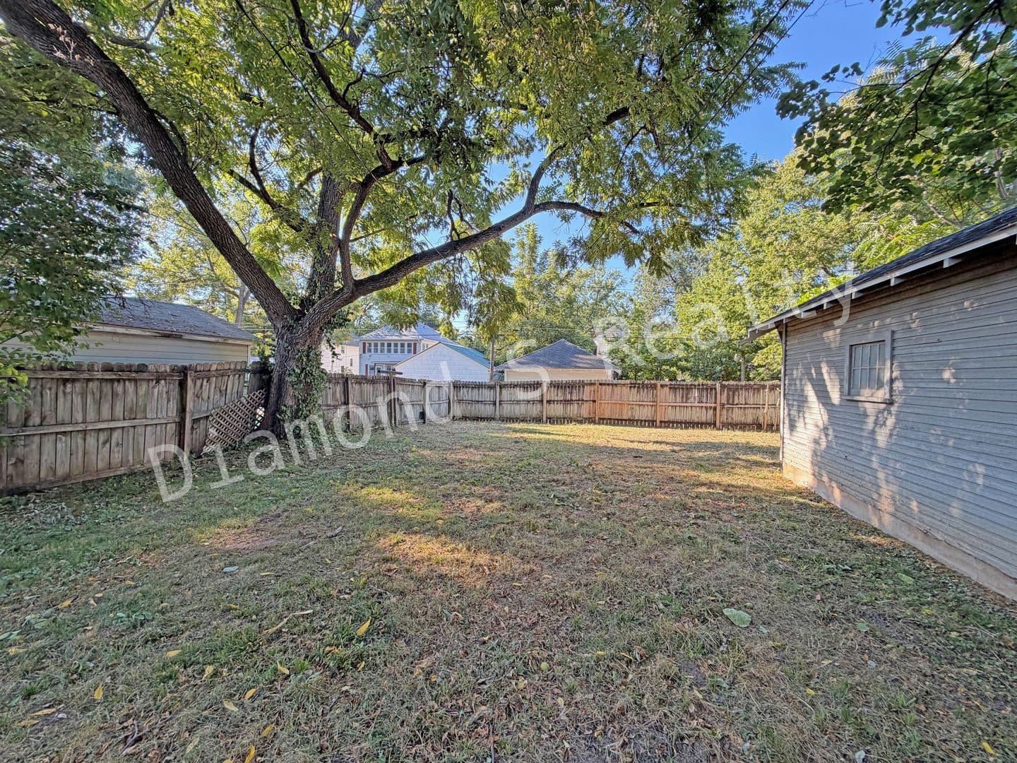 Springfield House: 816 E Delmar St