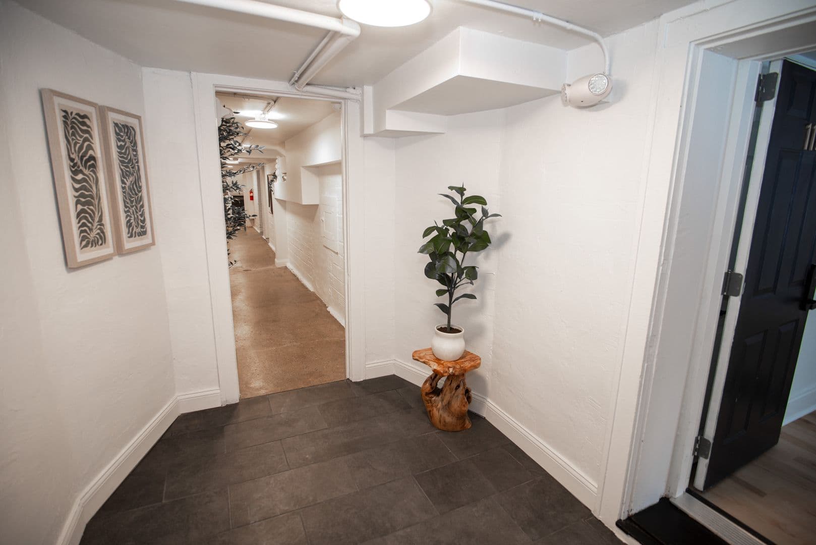 Cleveland Apartment: 1384-1388 W 83rd St