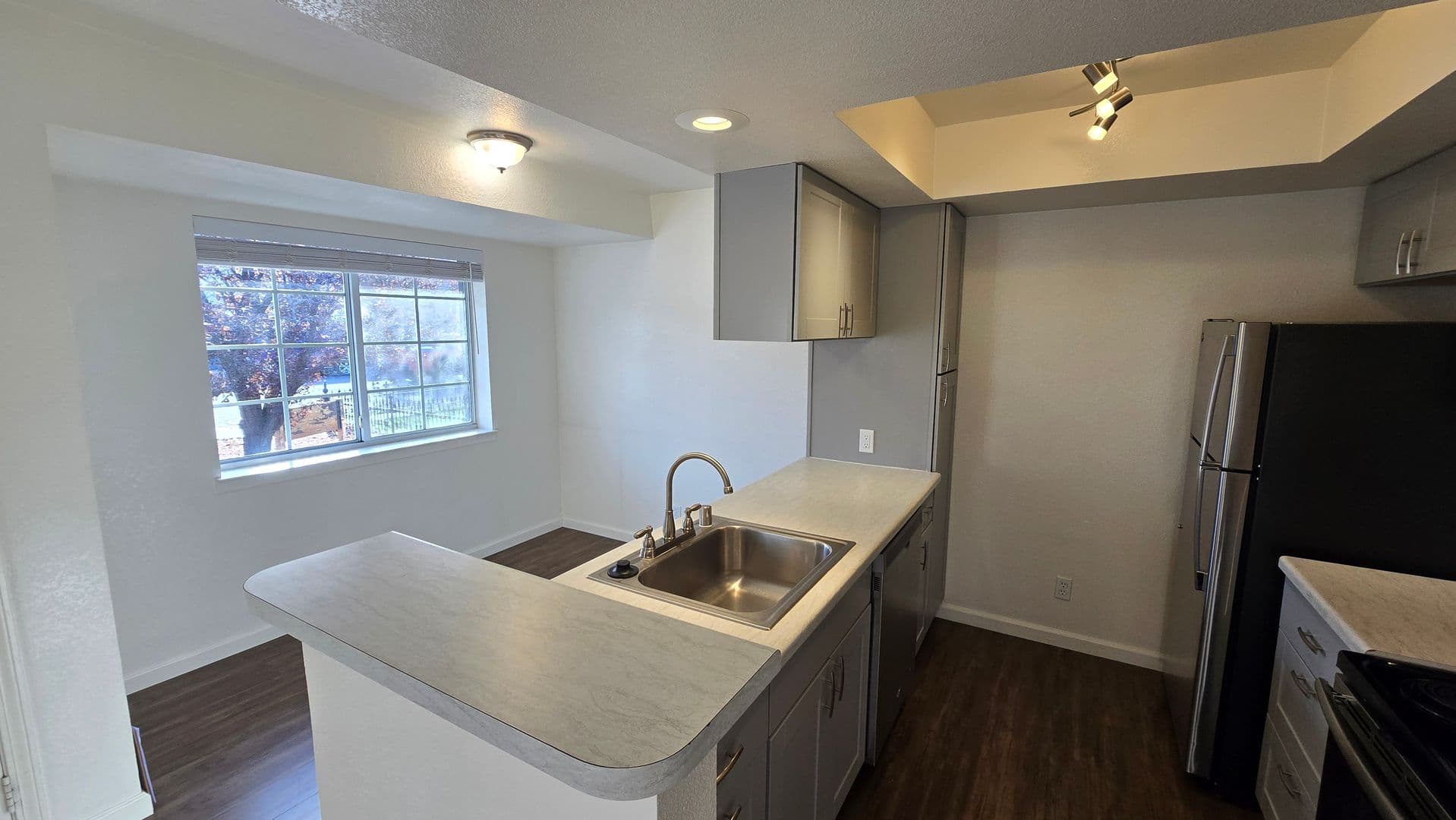 Reno Apartment: 239 Cheney Street