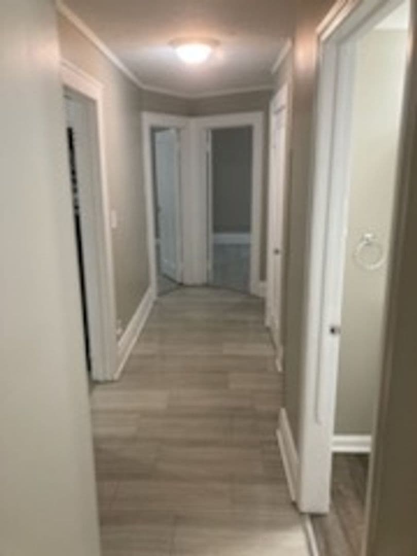 Rochester Apartment: 67-69 Upton Place