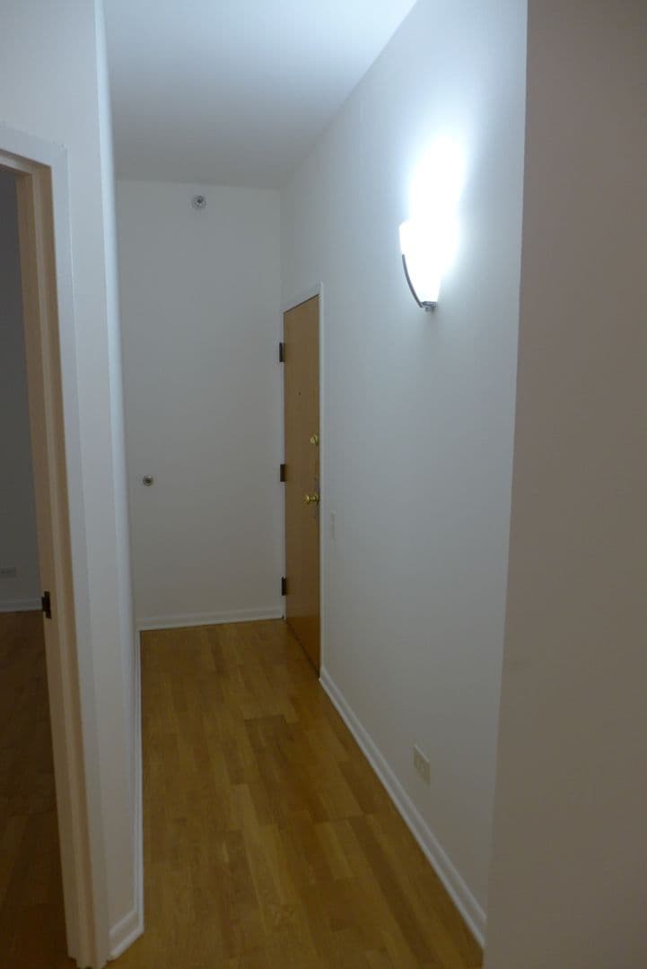 Chicago Apartment: 537 S. Dearborn