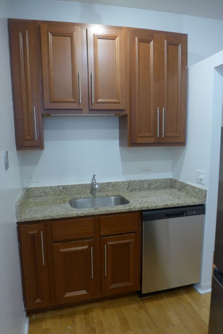 Chicago Apartment: 537 S. Dearborn