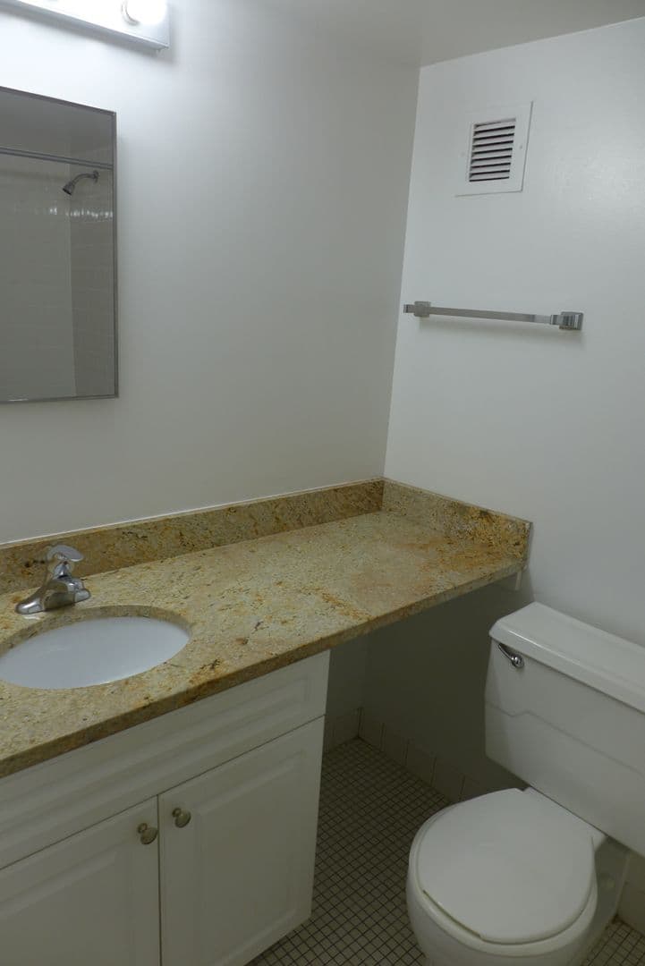Chicago Apartment: 525 S. Dearborn