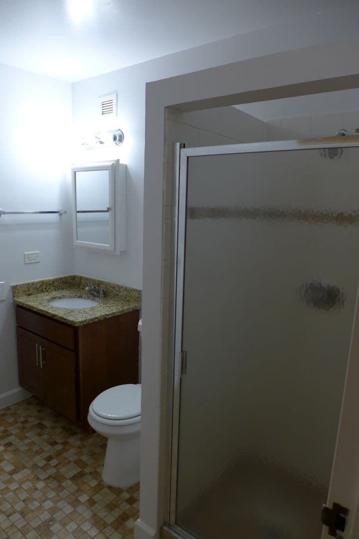 Chicago Apartment: 537 S. Dearborn