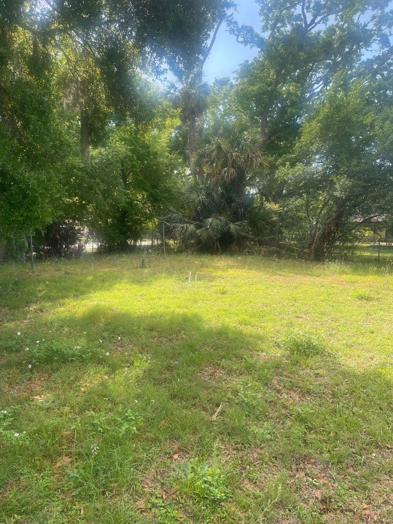 Daytona Beach House: 909 Kathy St
