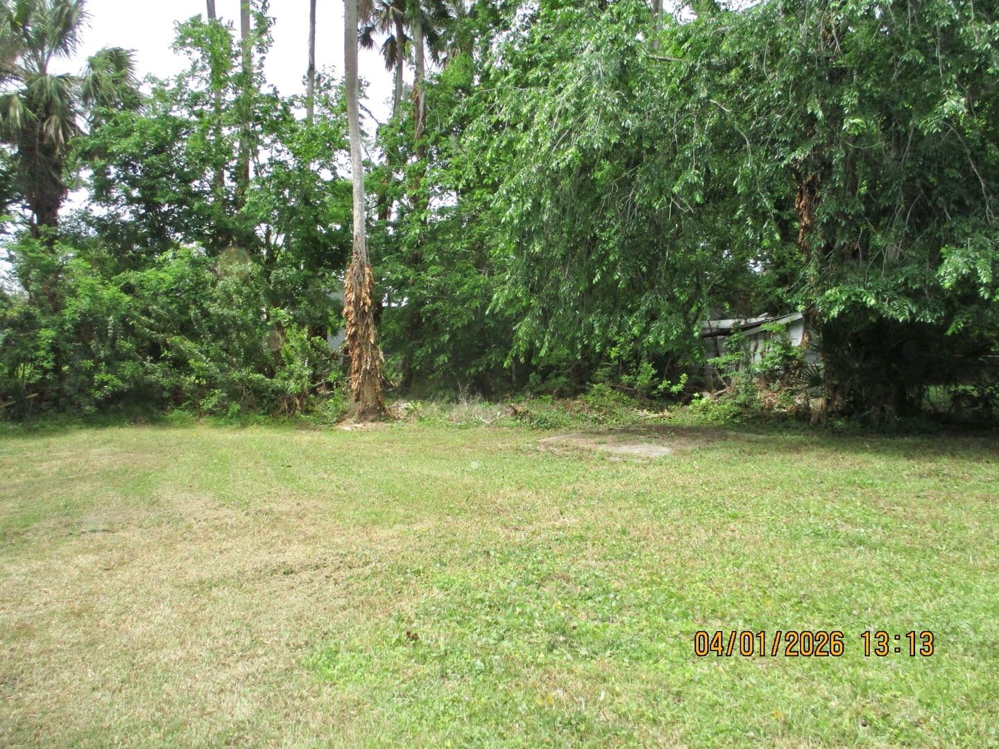 Daytona Beach House: 228 S Keech St