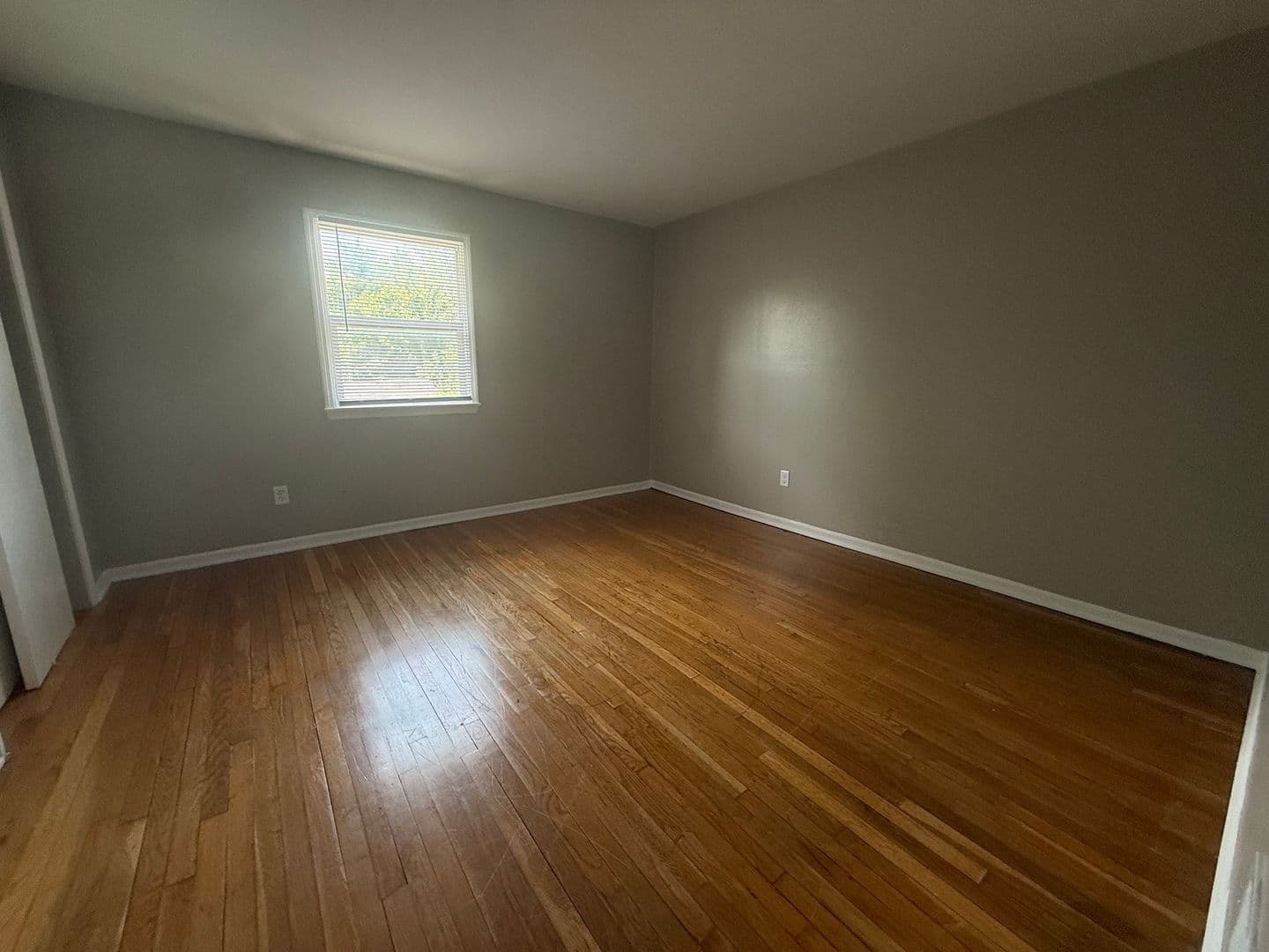 Lawrence Apartment: Boy Scout Road