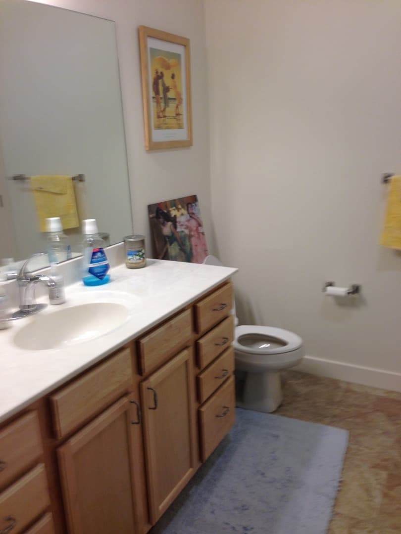 South Burlington Apartment: 78 Eastwood Drive