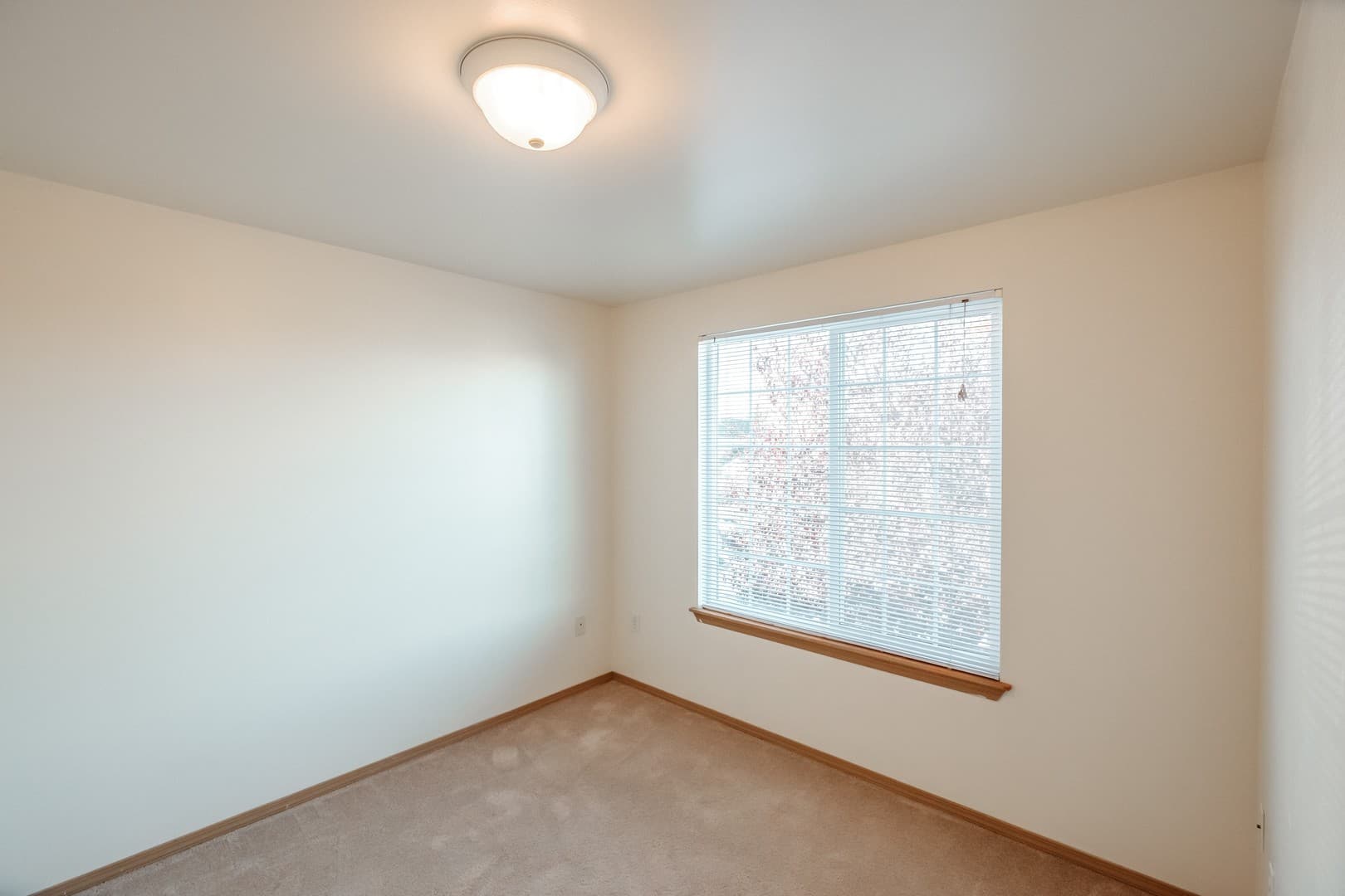 Albany Apartment: Mt. Vernon St. SE
