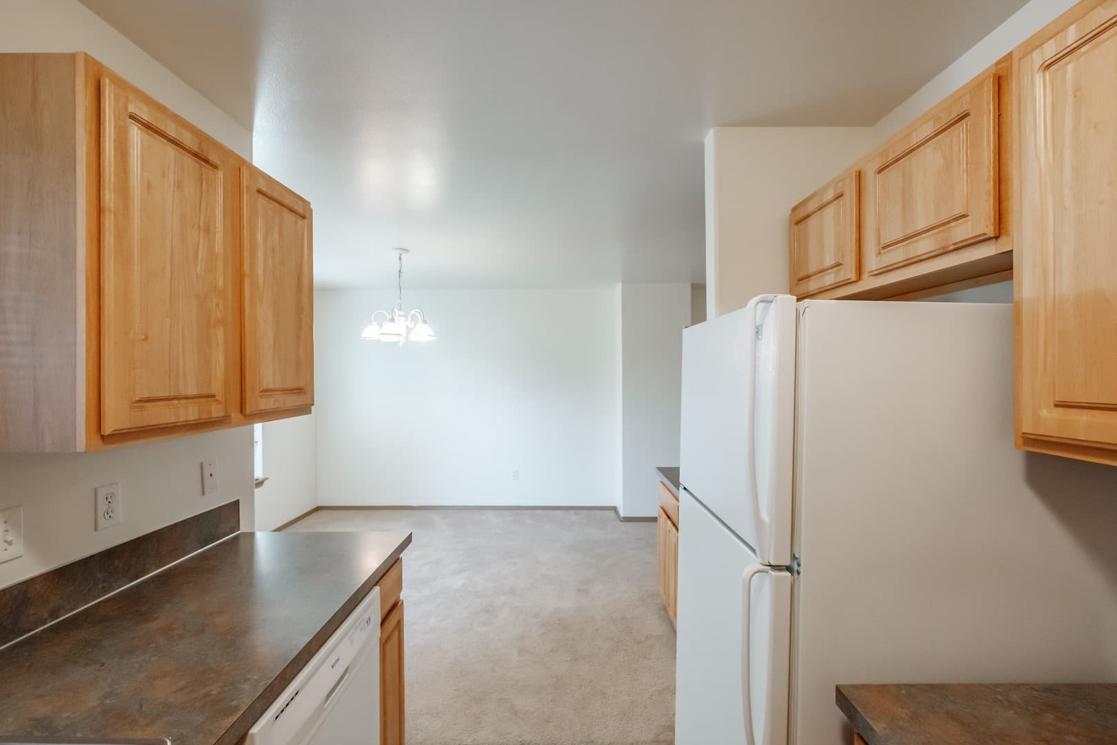 Albany Apartment: Mt. Vernon St. SE