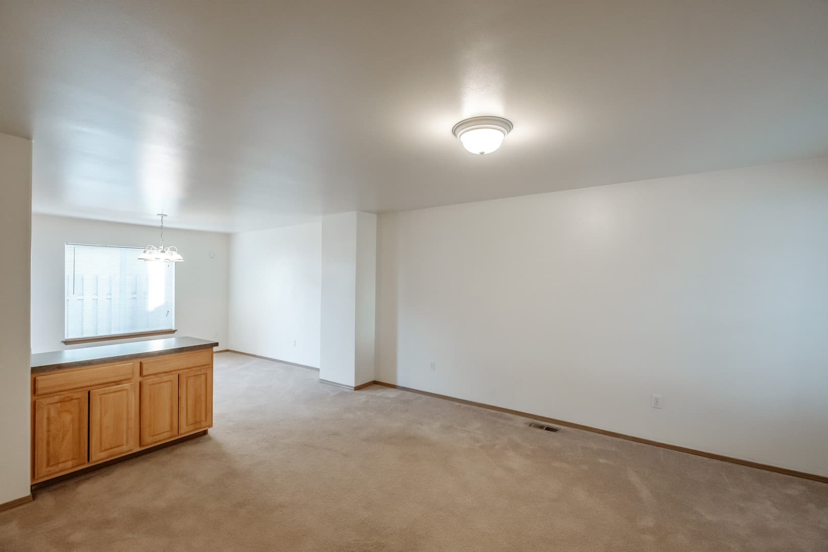 Albany Apartment: Mt. Vernon St. SE