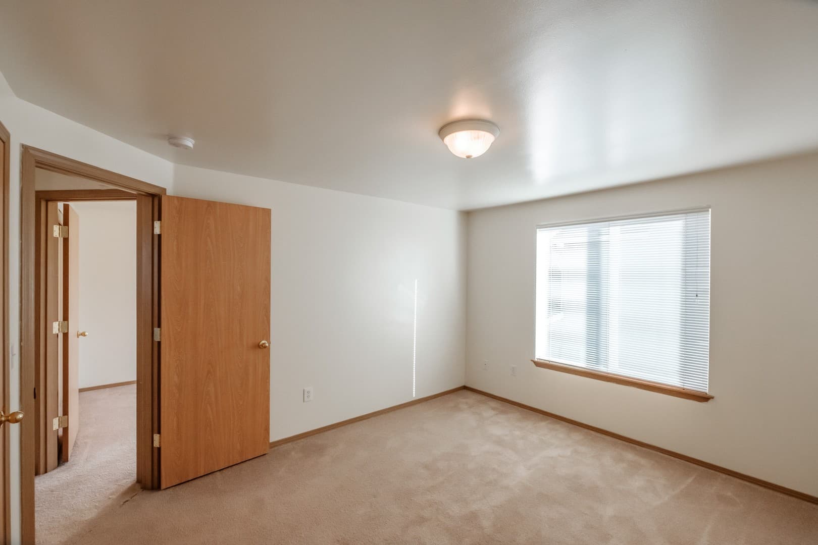 Albany Apartment: Mt. Vernon St. SE