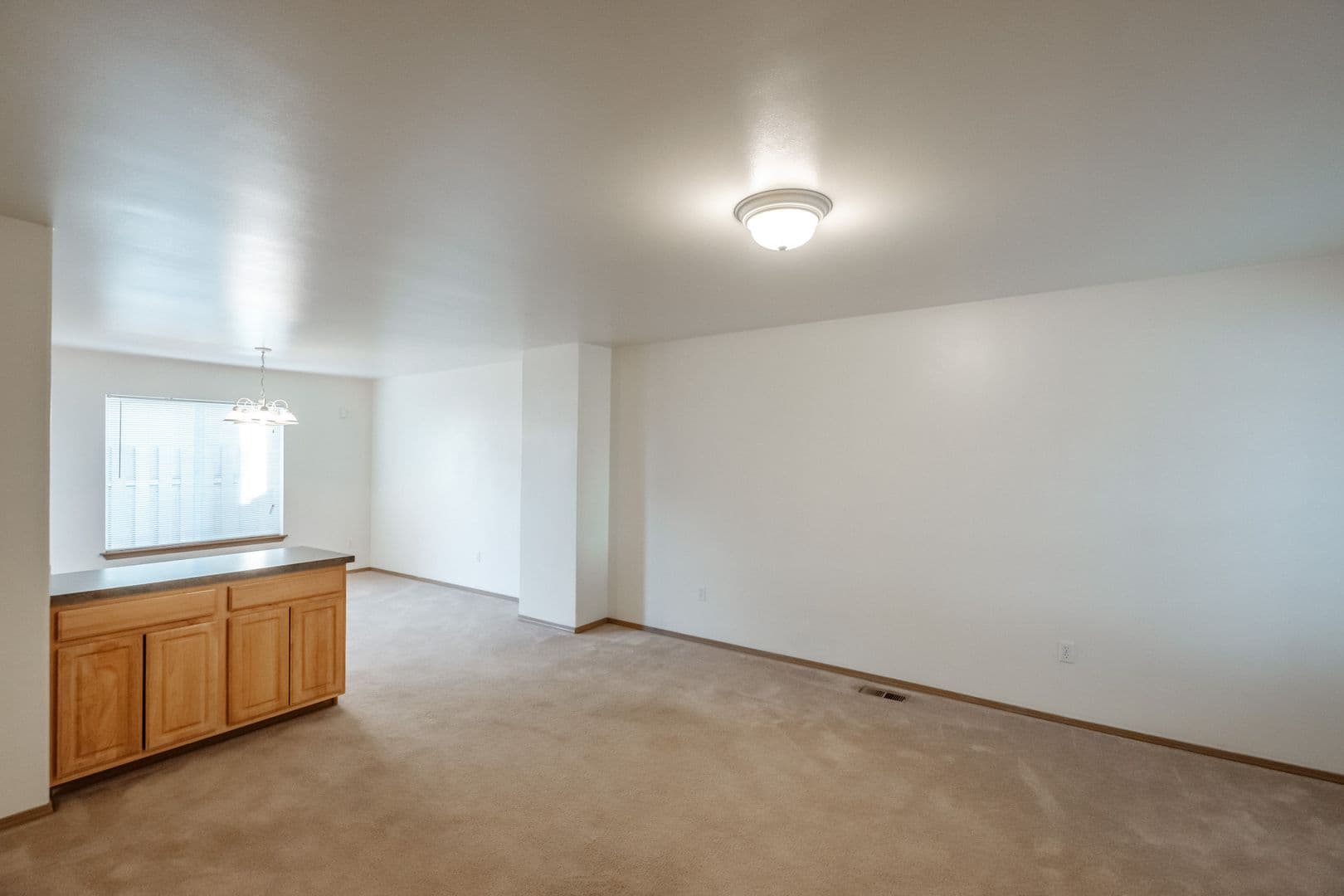 Albany Apartment: Mt. Vernon St. SE