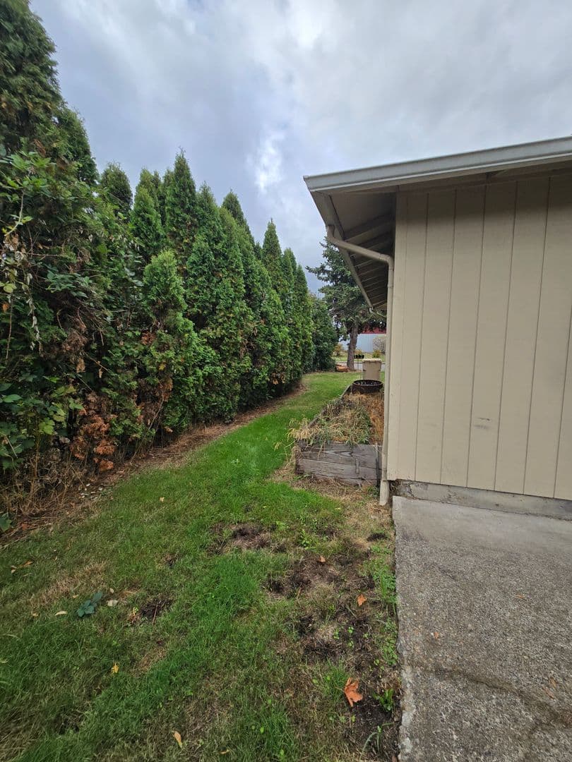 Albany Apartment: 3717 & 3719 Burkhart St. SE