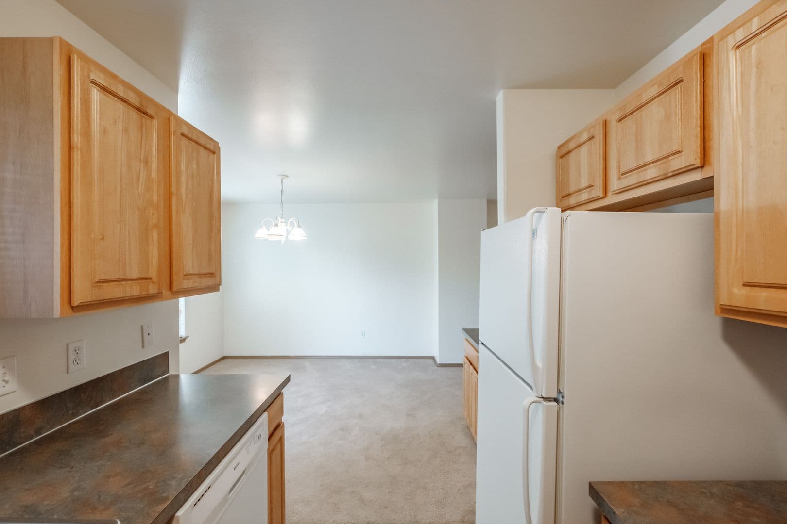 Albany Apartment: Mt. Vernon St. SE