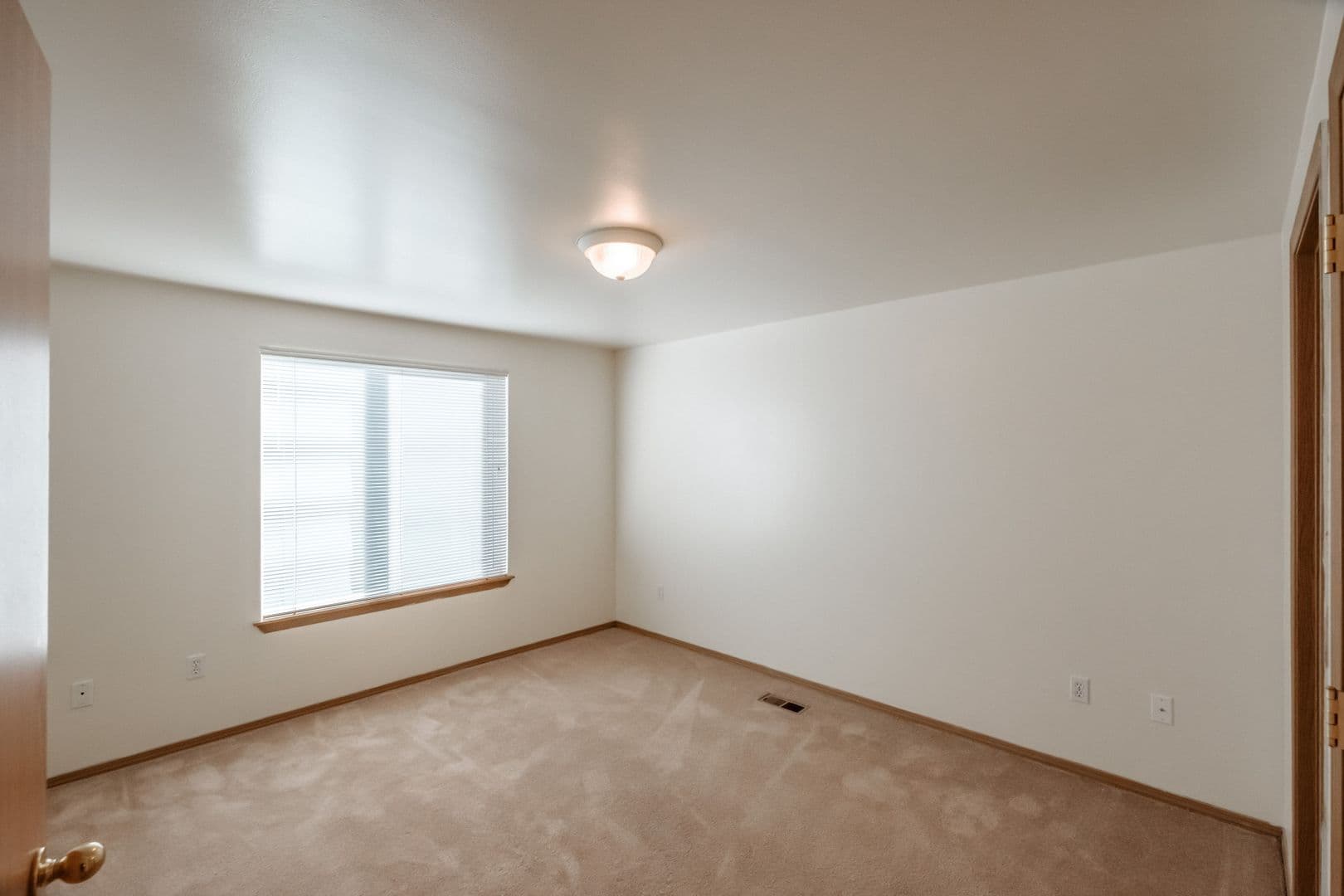 Albany Apartment: Mt. Vernon St. SE