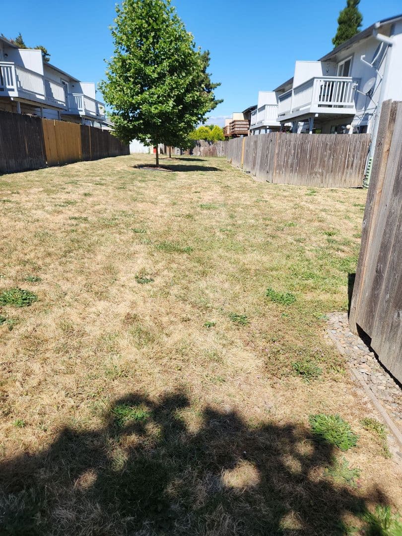 Albany Apartment: 462 26th Ave SE