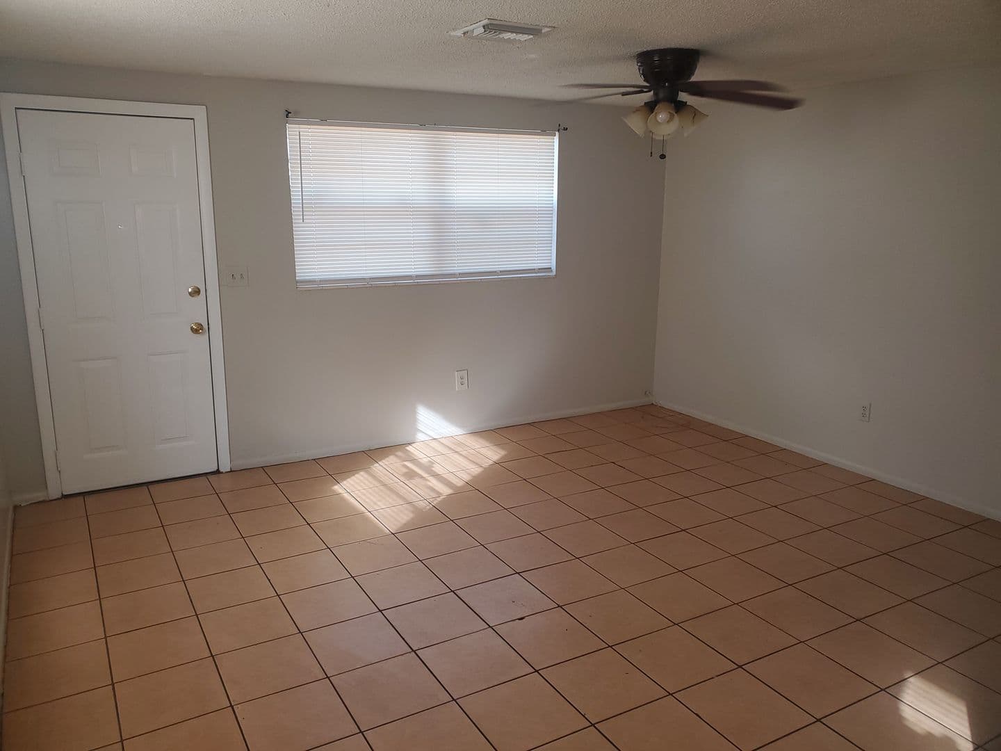 Tampa Apartment: 1522 E Eskimo Ave A-B