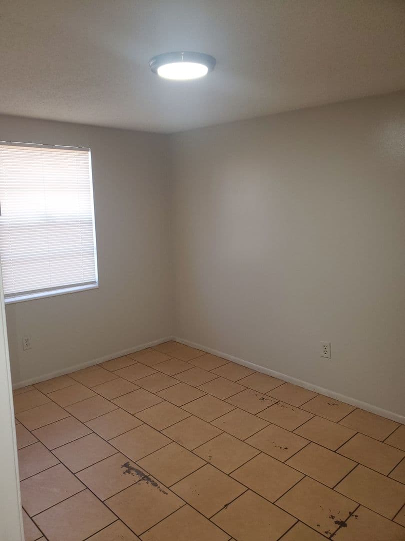 Tampa Apartment: 1522 E Eskimo Ave A-B