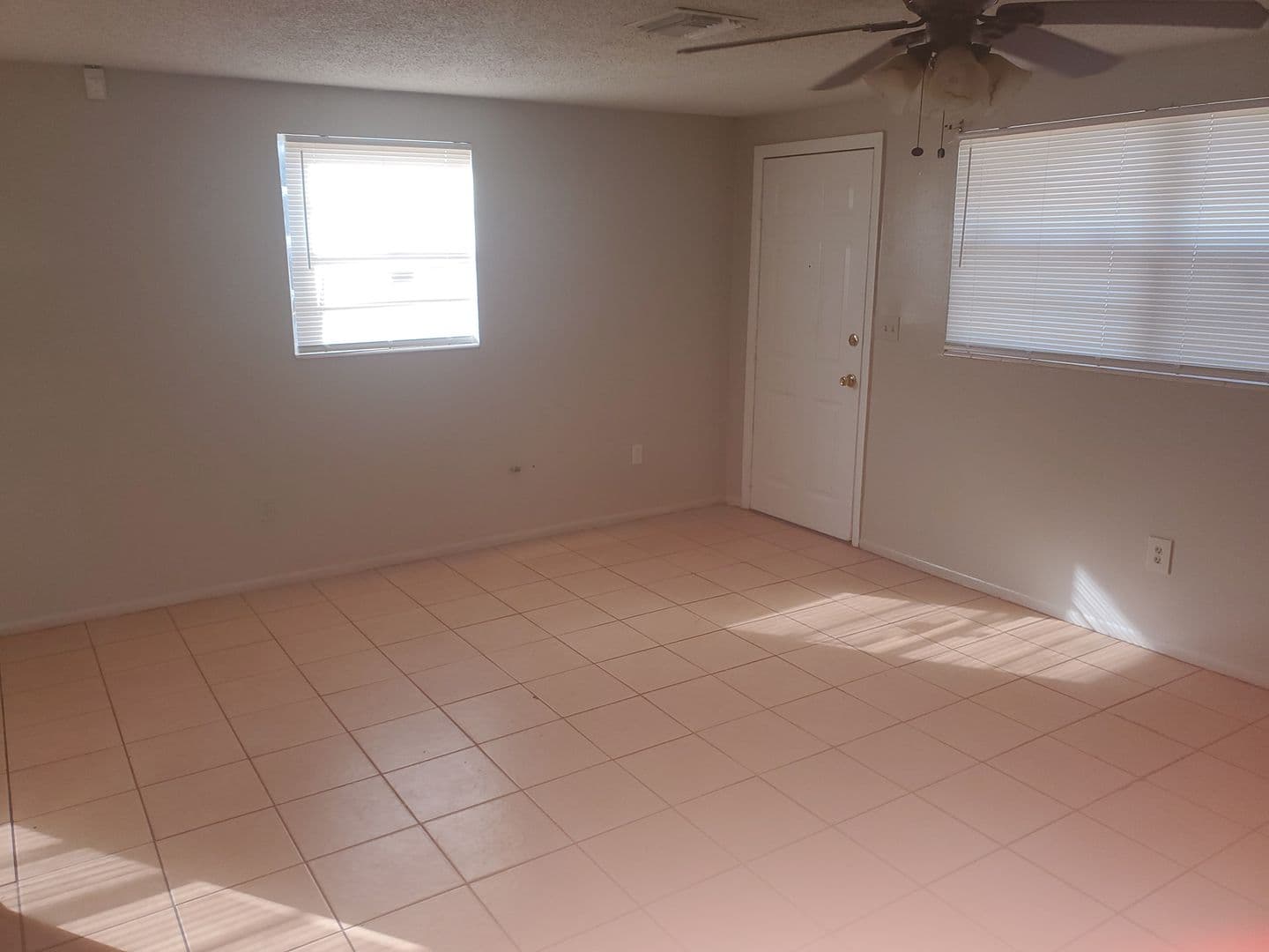 Tampa Apartment: 1522 E Eskimo Ave A-B