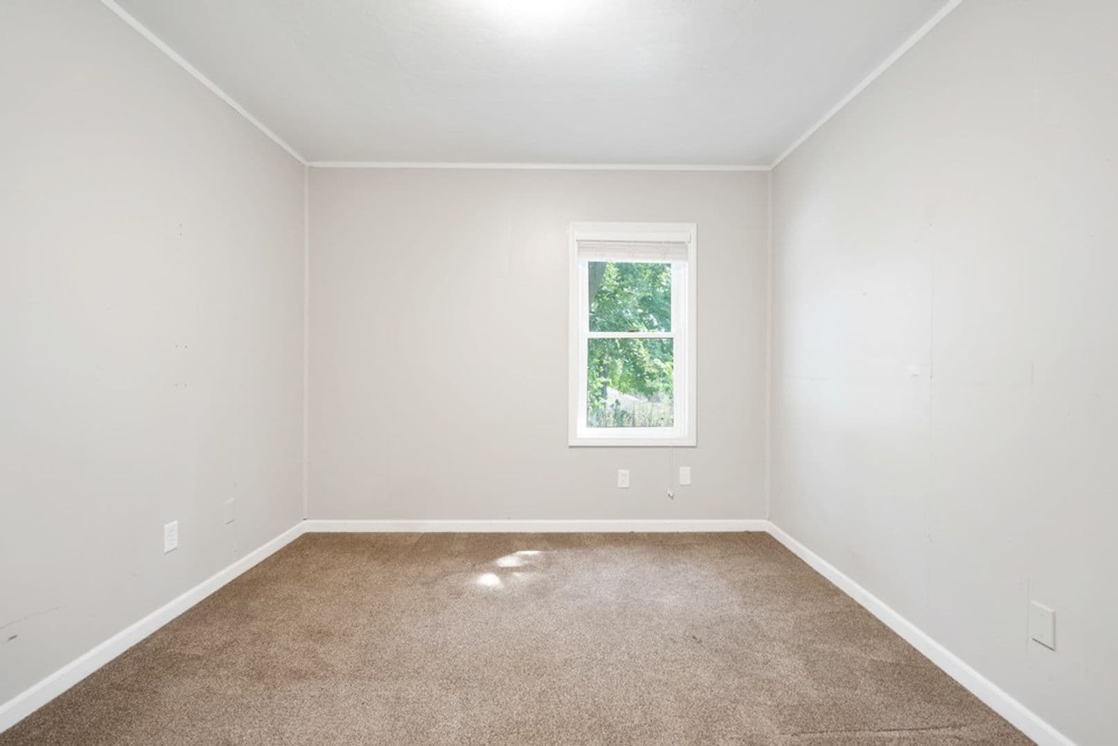 Cedar Falls House: 1604 Olive St