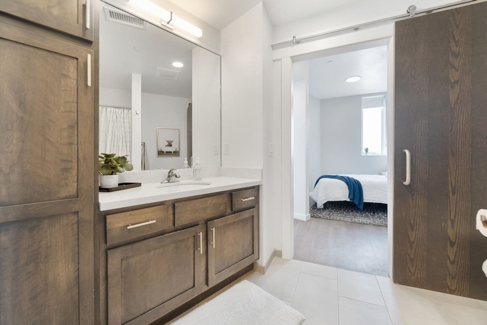 Waterloo Apartment: 335 Cedar Street
