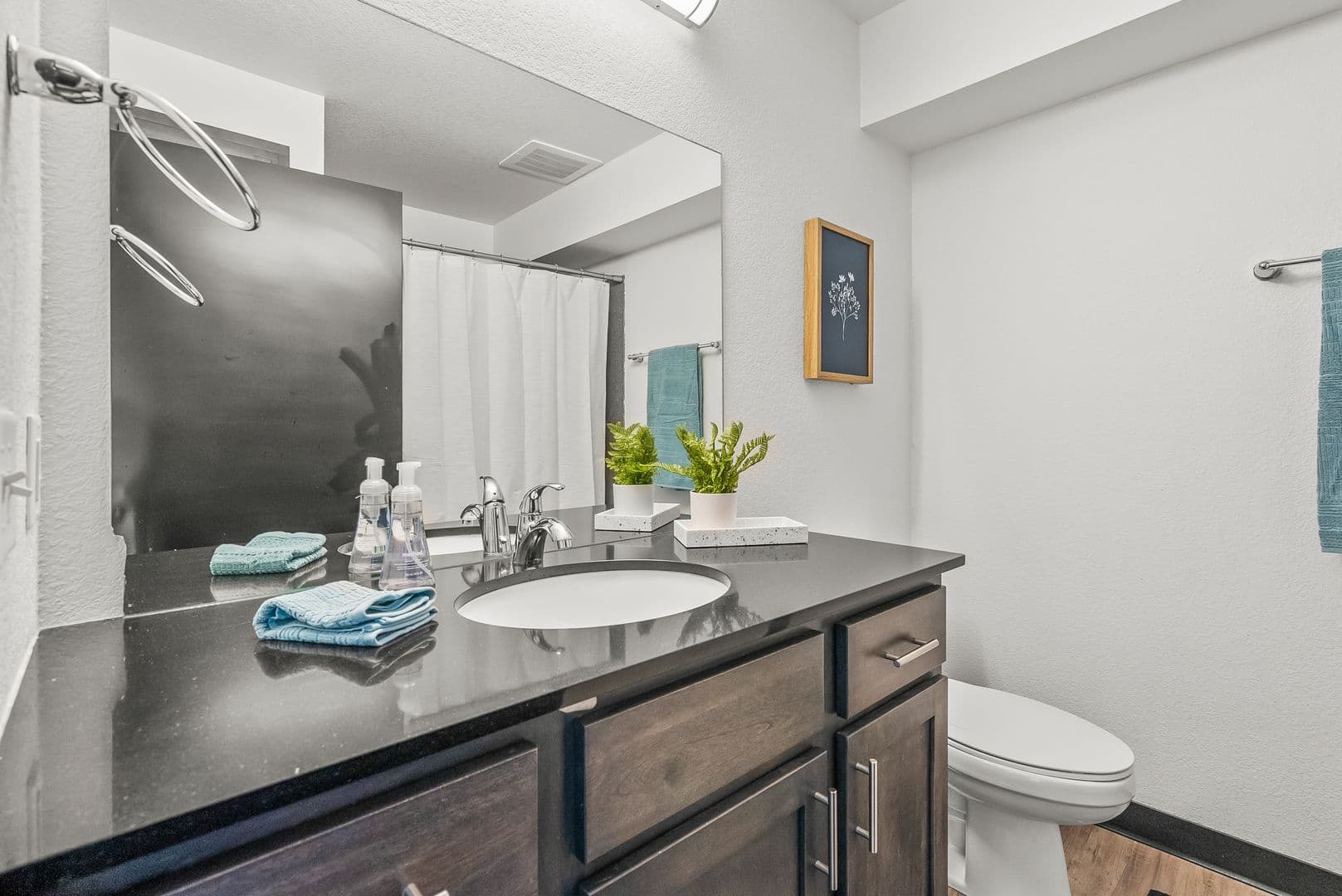 Waterloo Apartment: 21 W Jefferson Street