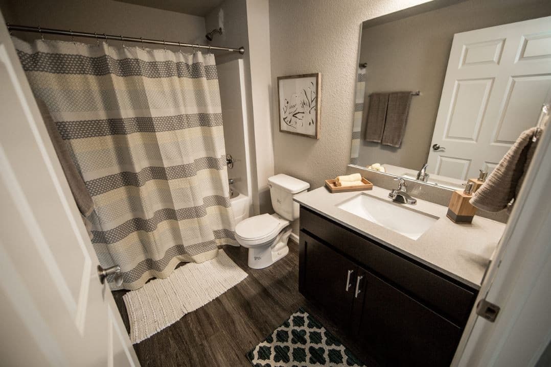 Waverly Apartment: 2113 4th Street SW