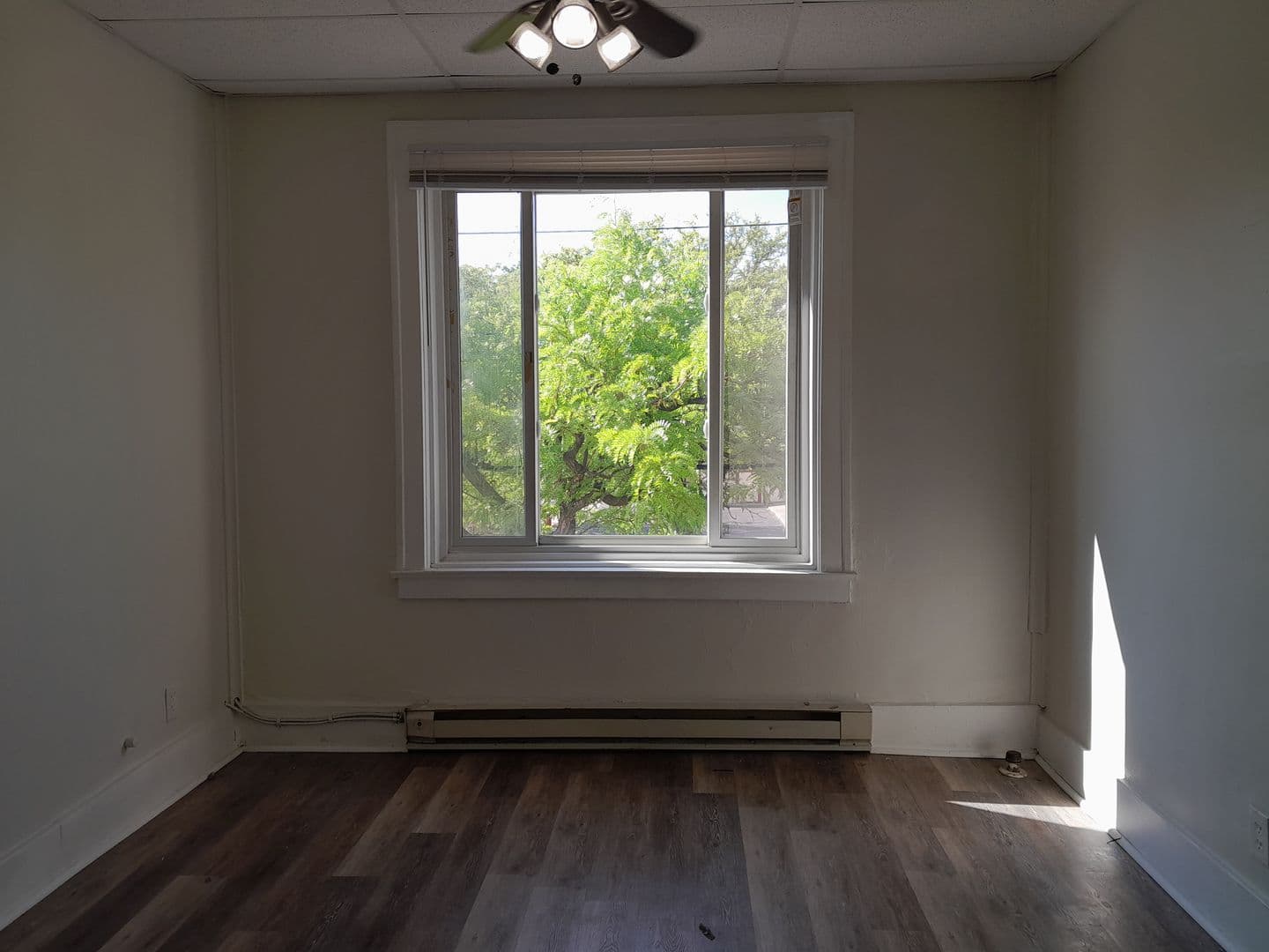 Grosse Pointe Park Apartment: 1178 Beaconsfield Ave