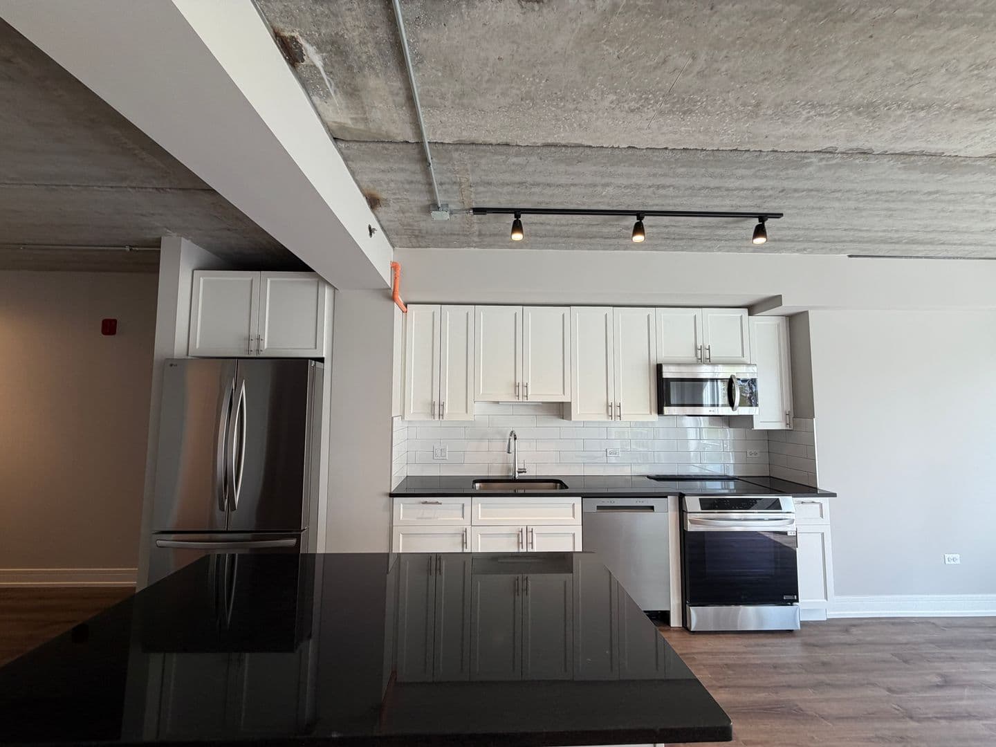 Chicago Apartment: 952 W. Carmen Ave.