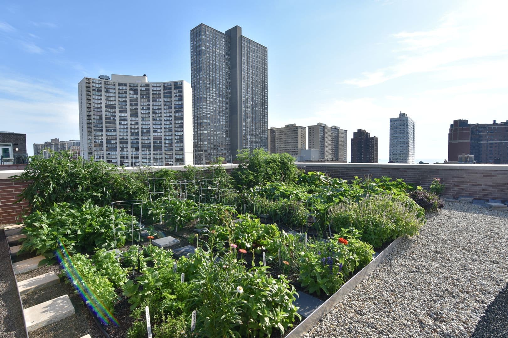 Chicago Apartment: 3817 - 45 N. BROADWAY ST